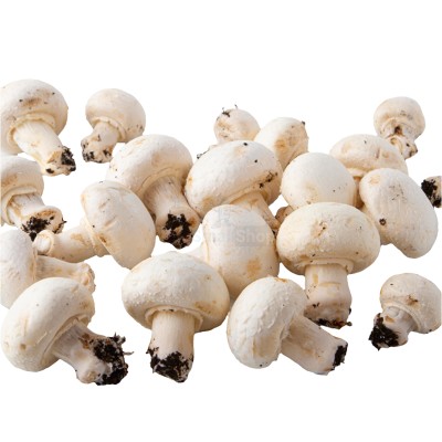 Шампиньоны свежие 500 г - купить в Лесном